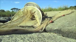 Cubango-Okavango River Basin Upper Catchment Biodiversity Survey 1 SD