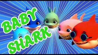 Baby Shark | Mojay | Kids Rhymes