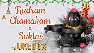 Rudram Chamakam And Suktas | S Prakash Kaushik | Powerful Vedic Chants