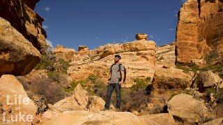 Bears Ears: Bullet Canyon to Sheiks Canyon in a day