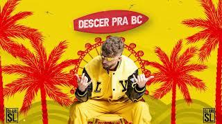 DJ Ari SL & Brenno e Matheus - Descer pra BC