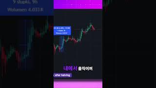 비트코인  글로벌 세션에서의 상승과 기대