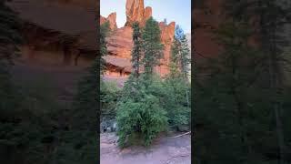 West Fork Trail, Sedona, Az #adventure #hiking #explorearizona #nature #arizonabeauty #sedona