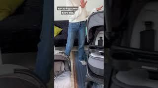 Chicco Bravo LE Travel System