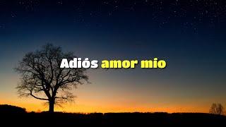 Adiós amor mío | Fuiste lo mejor de mi vida | Christian B. Vargas