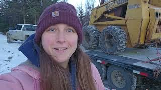 Spring Projects on Our Off-Grid Alaskan Homestead | Goat Birth, Water Supply, Hare Hunting