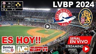 Tiburones de la Guaira vs  Leones del Caracas en vivo, donde ver, a que hora juega LVBP 2024