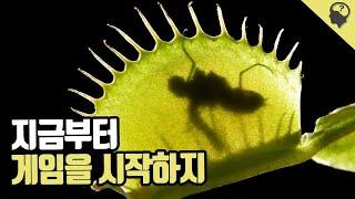 지옥같은 환경에서 살아남기 위해 변화한 '파리지옥' 이야기