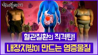 내장지방이 만드는 만성염증! (유료광고포함)  혈관질환, 암의 원인이 된다 / 삶의 질을 낮추는 당뇨 / 경인TV 백세불패 20220330