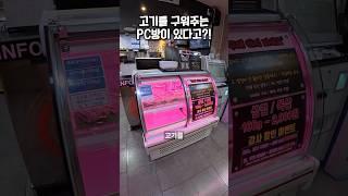 삼겹살을 구워주는 정육점 PC방이 있다고?!