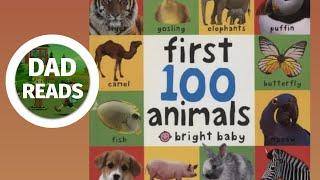 First 100 Animals Board Book (Dad Reads aloud for kids)