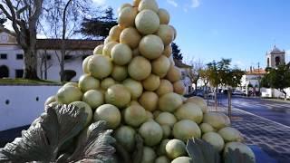 A Walk Through Azeitão and the Bacalhôa Palace and Winery *WINE!