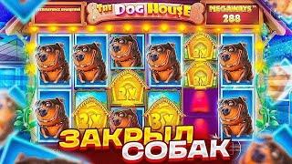 КУПИЛ БОНУС ЗА 240К В НАЧАЛЕ! ЛУЧШАЯ СЕССИЯ В THE DOG HOUSE MEGAWAYS! НЕРЕАЛЬНЫЕ ЗАНОСЫ!