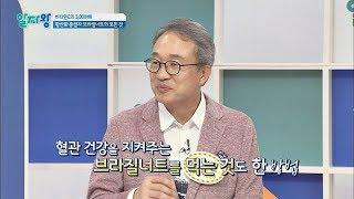 암뿐만 아니라 혈관 건강에까지 좋은 브라질너트~(대단해) 알짜왕 40회