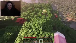 Minecraft But if i die. The world is Deleted