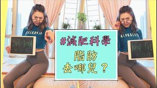 減肥科學系列： 脂肪去哪兒 ？