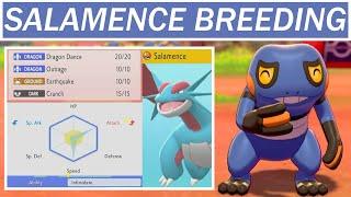 Why You Should Breed a Salamence - "Pro" Pokemon Breeding Guide