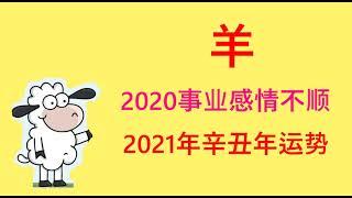 【属相】岁破之年2021年，生肖羊财运和感情运势