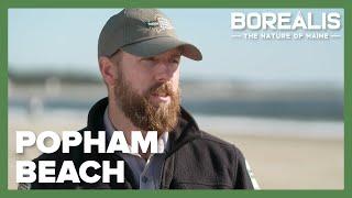 Maine State Park Ranger's job is beach | Borealis Extras