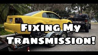 Fixing Transmission!