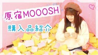 [English subs] $10,000 SQUISHY BED!? FOLLOW ME AROUND HARAJUKU FOR CUTE SQUISHIES!!