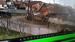 Викрадення собаки зафіксували камери відеоспостереження