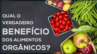 Qual o VERDADEIRO benefício dos ALIMENTOS ORGÂNICOS?