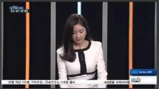 [20160404] 도시계획연구소 서기섭 대표 SBS CNBC 부동산따라잡기 부동산전망, 이슈 주택가격지수 & 개포 재건축