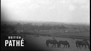 Vintage Derby (1969)