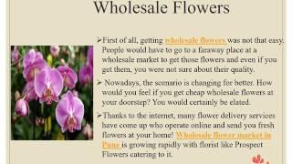 Seven Steps to Care Your Flowers When Buying Wholesale Direct