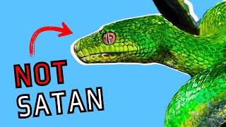 Bible Accurate Satan, explained in 10 minutes