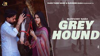 Greyhound ( Full Song ) Surinder Baba | G Skillz | New Punjabi Song 2024 | Latest Punjabi Song 2024