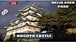 NAGOYA CASTLE JAPAN + MEIJO KOEN PARK TOUR #japancastle #parktour #japanpark