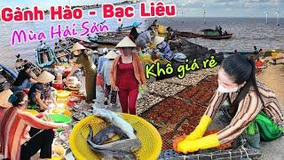 Chợ cửa biển lớn nhất Gành Hào Bạc Liêu mùa hải sản giá rẻ