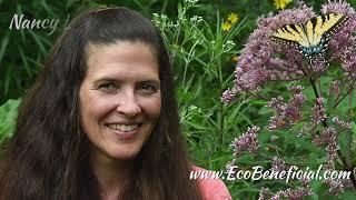 EcoBeneficial Interview: The Humane Gardener