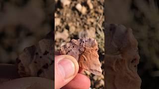 Finding Prehistoric Artifacts In The Desert