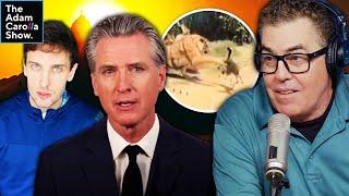 Trump Endorses Arrest of Newsom + Comedian Sentenced to 8 Years for Offensive Jokes | #news