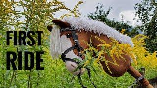 Maskotti erstes mal reiten! 1m Springen ⭐Video vom 25.03.20 