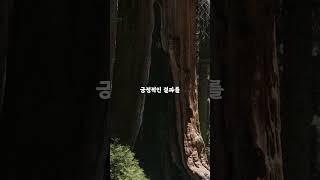 부유한 사람들의 성공적인 삶 5가지 궁합
