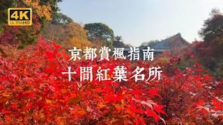 【Kyoto Solo Trip】2024 Kyoto Autumn Foliage Guide! Top 10 Selected Spots