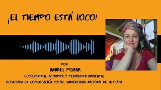 ¡El tiempo está loco!  Por Anabel Pomar