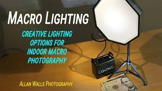 Macro Lighting - creative options for indoor macro photography