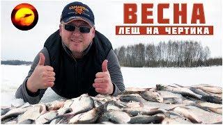 Рыбалка с ночевкой / Лещ весной / Закрытие зимней рыбалки / Вазузское водохранилище / Ярыгино