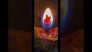 #thevaram #linga #divine#deepam #shiva #shivam #yt #video
