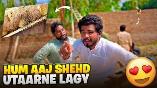 Hum Aaj Shehd Utaarne Lagy hen  | Honey Vlog  | Khizar Omer