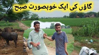 village ki Aik Khobsorat Subah | Village Fight | village Secrets | Fight in village | village vlogs