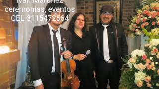 Pianista. Eventos a.a.scherzando