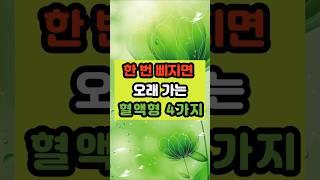 한 번 삐지면 오래 가는 혈액형 4가지 #명언 #긍정의말 #긍정적마인드 #좋은글 #지혜 #운세