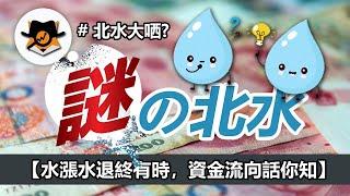 【跟北水資金流出入市可行嗎？】．北水係乜水．除了北水還有誰是大戶？