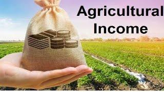 Agricultural Income